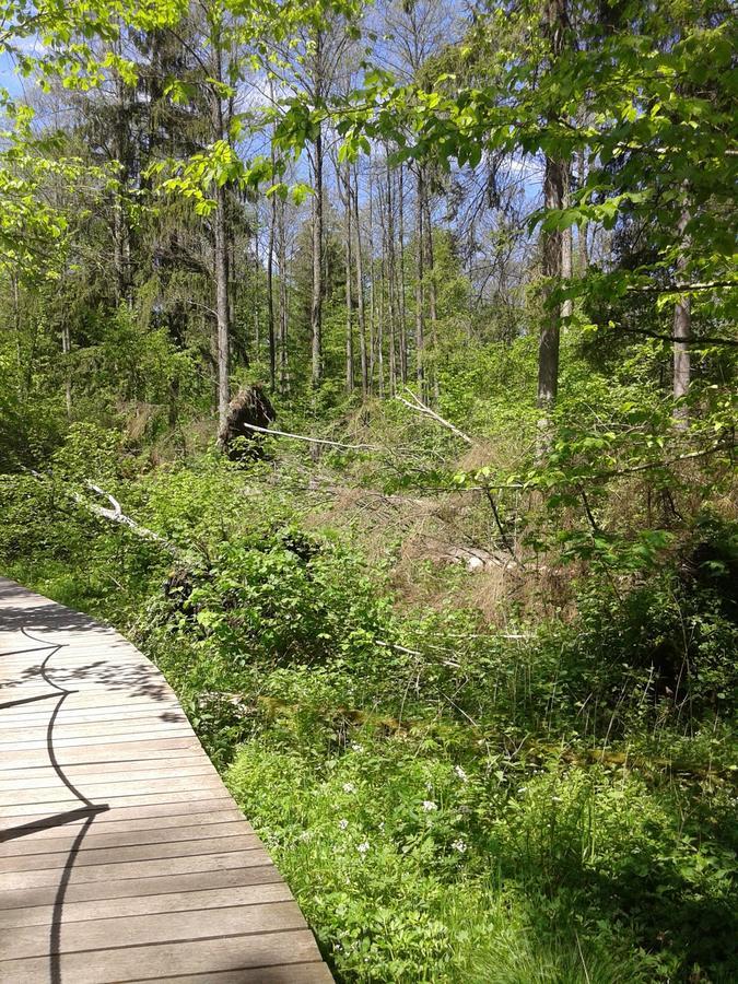 Cztery Pory Roku Guest House Białowieża Екстериор снимка