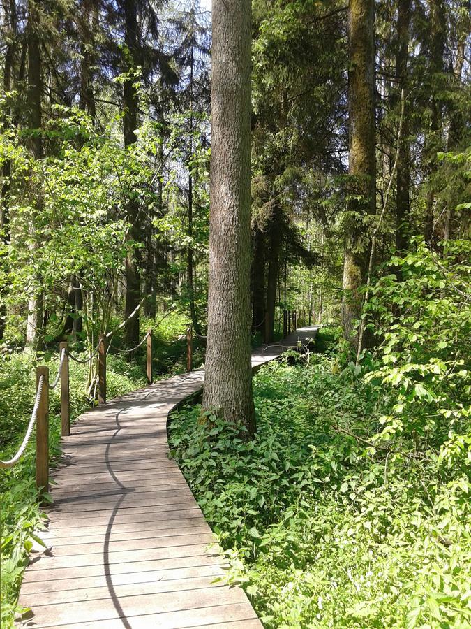 Cztery Pory Roku Guest House Białowieża Екстериор снимка