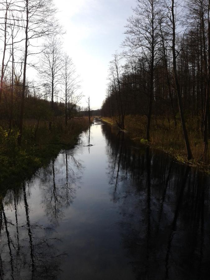 Cztery Pory Roku Guest House Białowieża Екстериор снимка