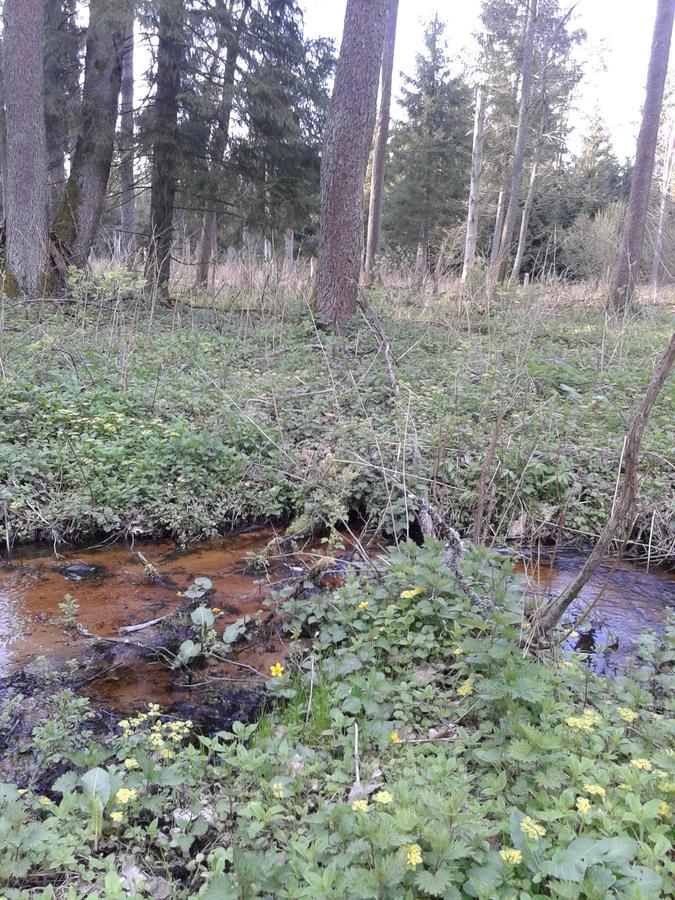 Cztery Pory Roku Guest House Białowieża Екстериор снимка